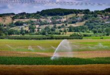 sulama suyu toprakla buluştu