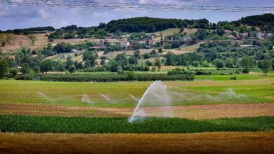 sulama suyu toprakla buluştu