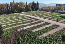 Büyükşehir'den Gölcük'e yeni mezarlık alanları