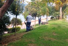 Büyükşehir'den yeşil alanlara özel bakım