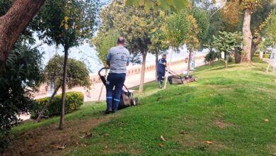 Büyükşehir'den yeşil alanlara özel bakım