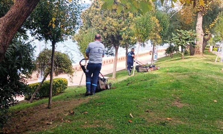 Büyükşehir'den yeşil alanlara özel bakım