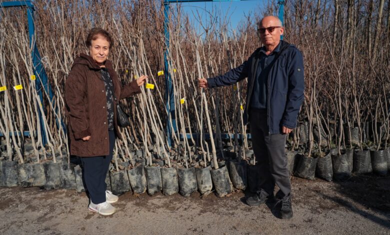 Büyükşehir'in fidan desteği meyvelerini verecek