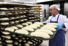 Erişilebilir fiyat, güvenilir hizmet