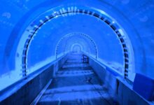 Kocaeli Akvaryumu turizmin cazibe merkezi olacak