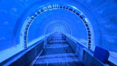 Kocaeli Akvaryumu turizmin cazibe merkezi olacak