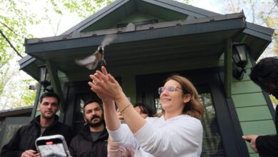 Mantar avıyla doğanın tadını çıkardılar