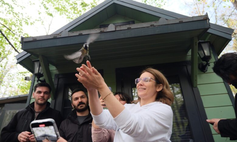 Mantar avıyla doğanın tadını çıkardılar