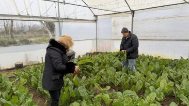 Saygınlar Kulübü'nün 'tarım' keyfi