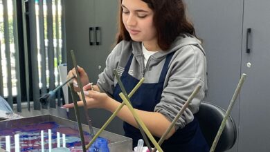 Akademi Liseler geleceği ş