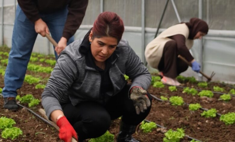 Kadın ve gençler, Büyükşehir'le tarıma kazandırılıyor