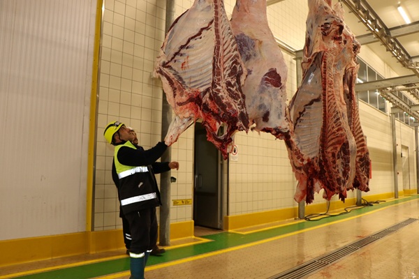 Sakatatları Kesinlikle Çöpe Atmayın