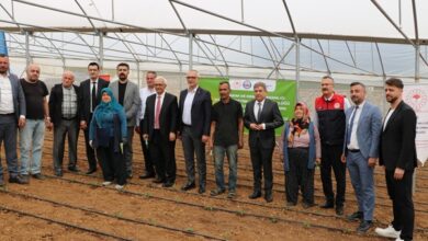 Tarlalar bereketleniyor, Kocaeli çiftçisi kazanıyor