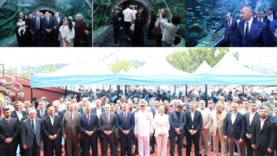 Dünya Denizleri Kocaeli’ye Taşındı!