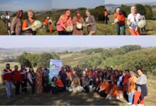 Atıl Araziden 8 Ton Balkabağı Hasat Edildi